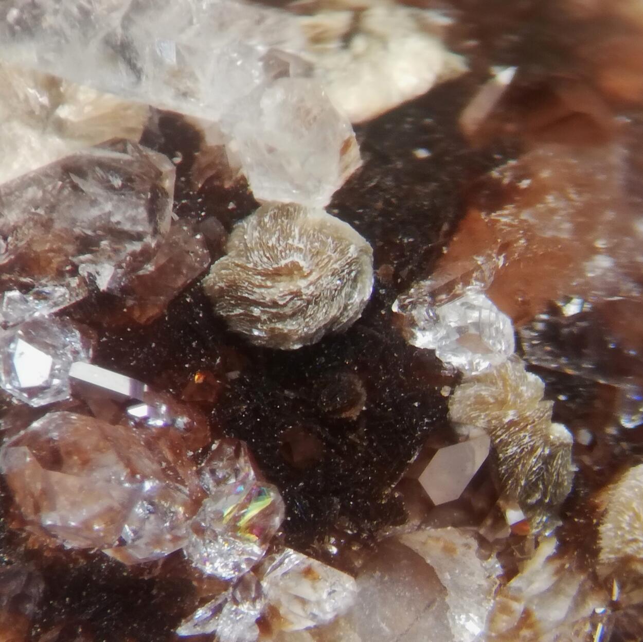 Roscoelite & Ganophyllite