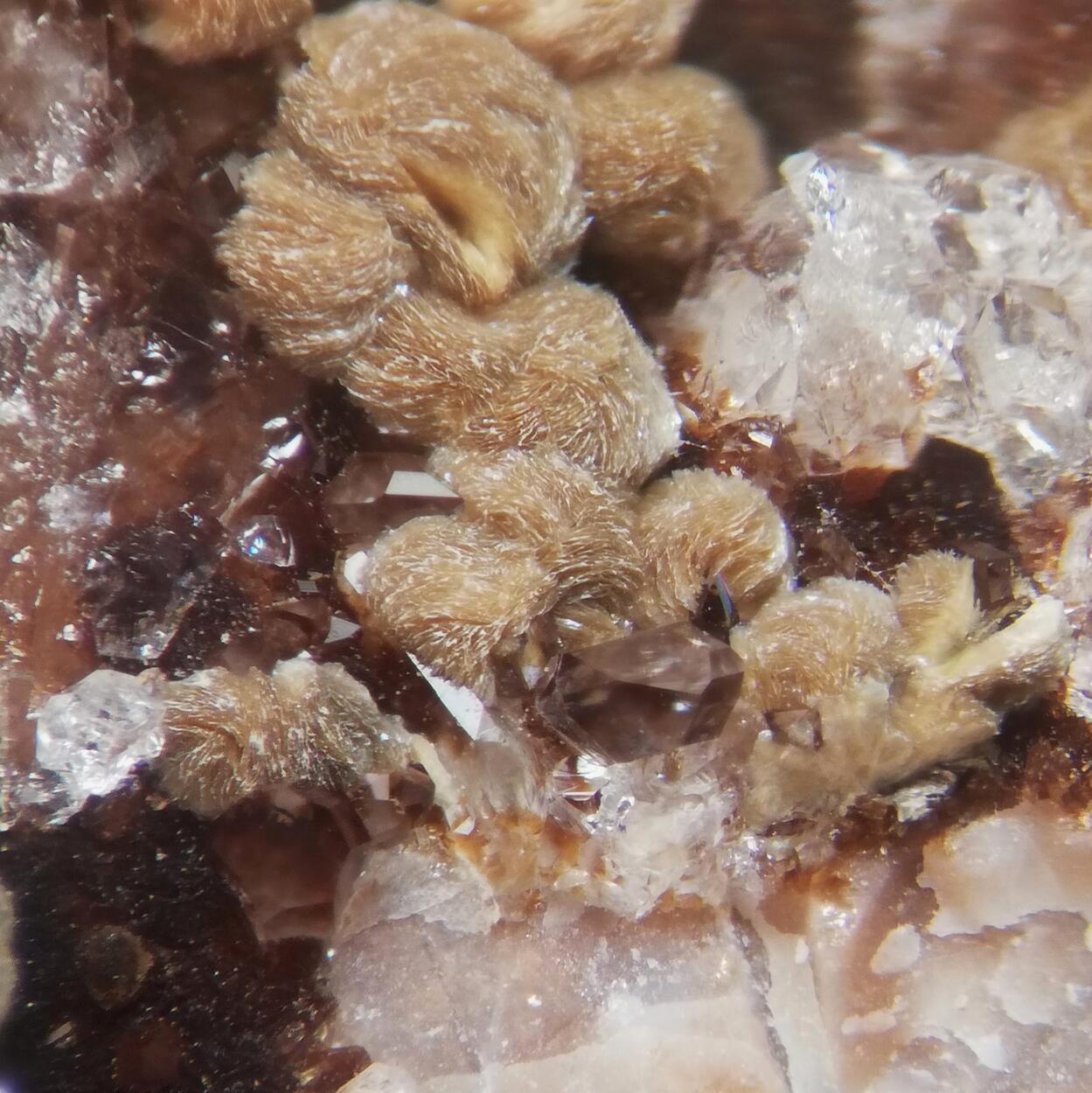 Roscoelite & Ganophyllite