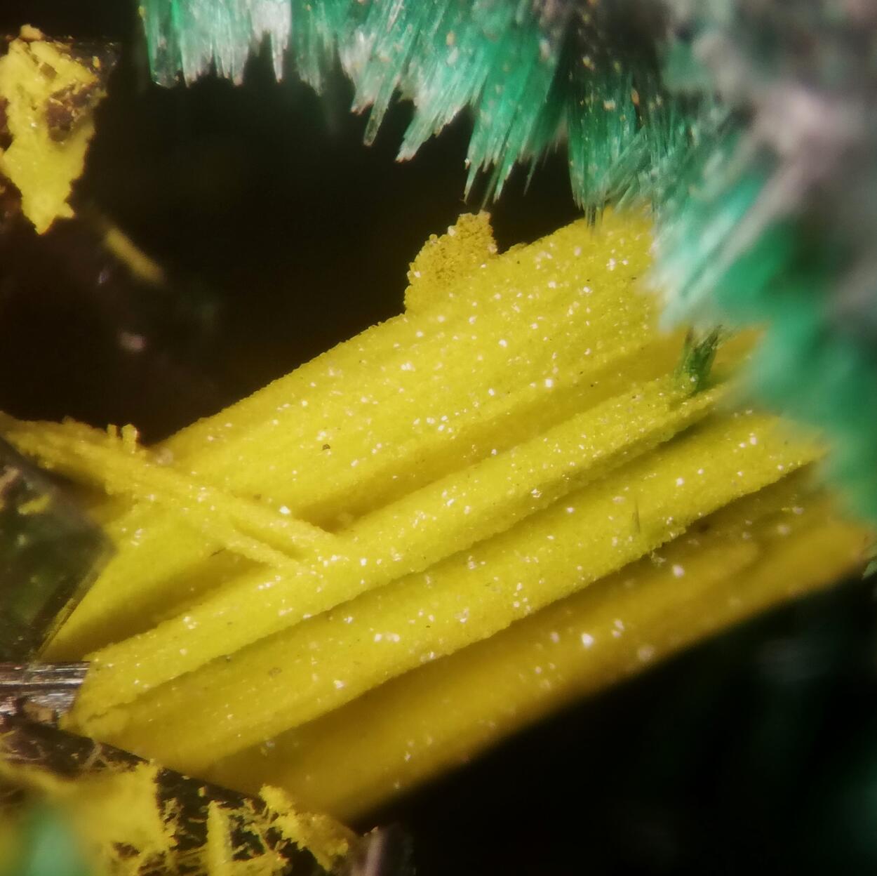 Schoepite On Rutherfordine & Malachite