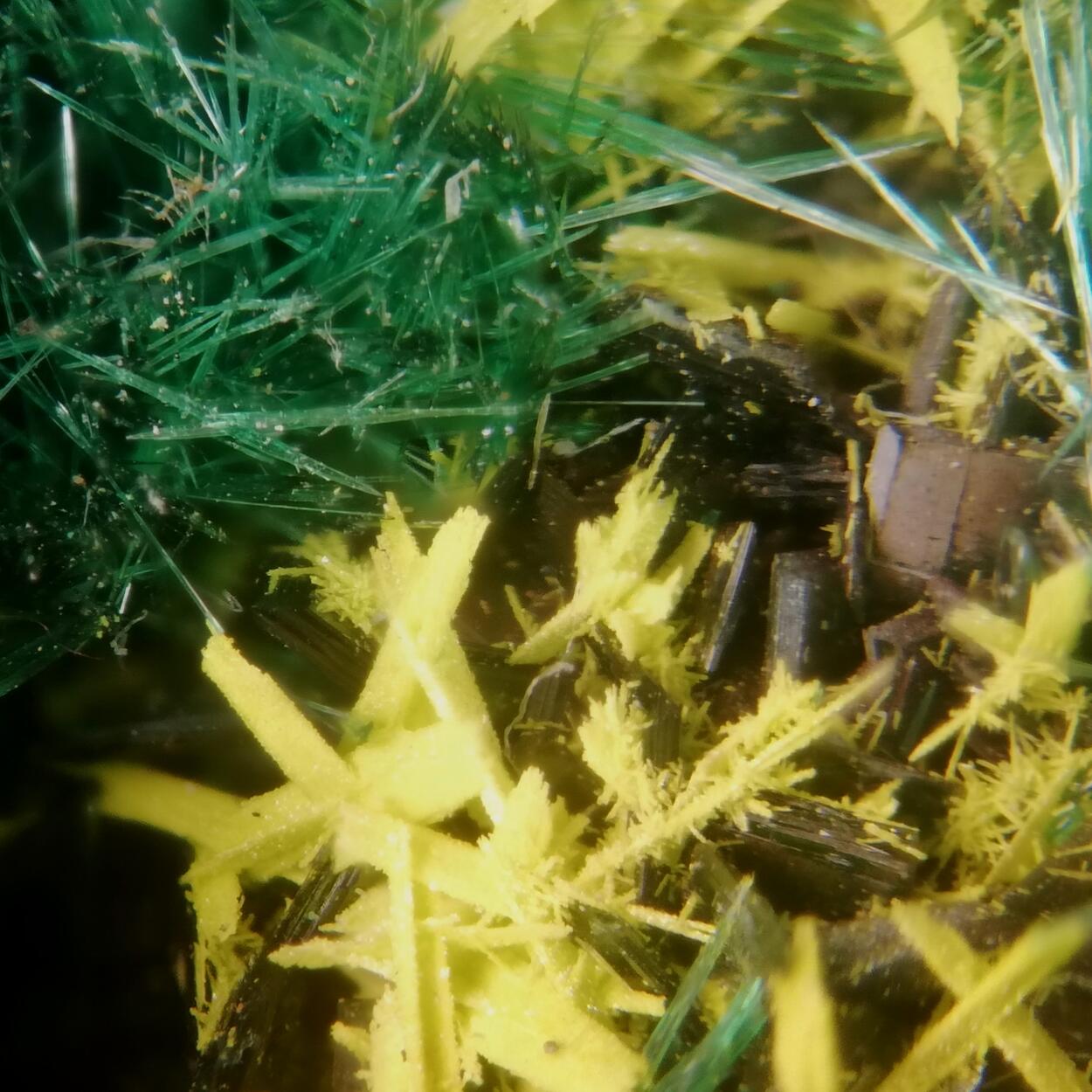 Schoepite On Rutherfordine & Malachite