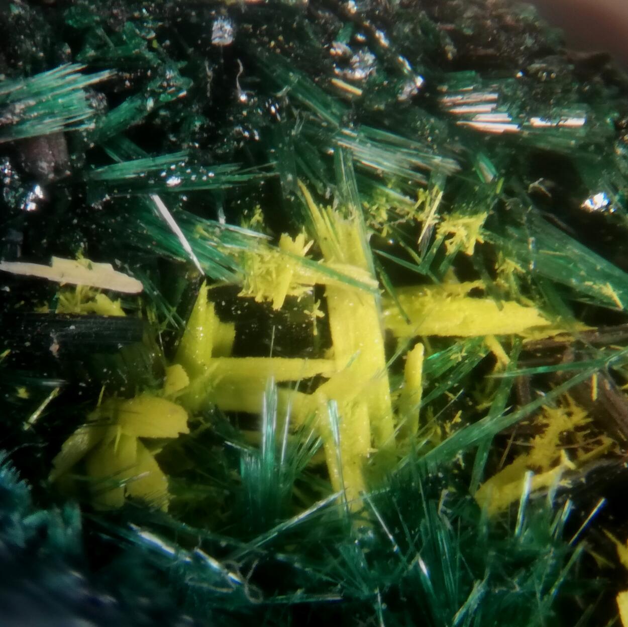 Schoepite On Rutherfordine & Malachite