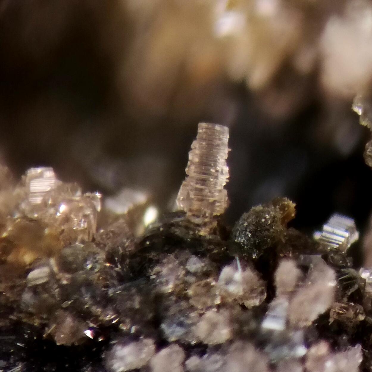 Strunzite Beraunite & Strengite