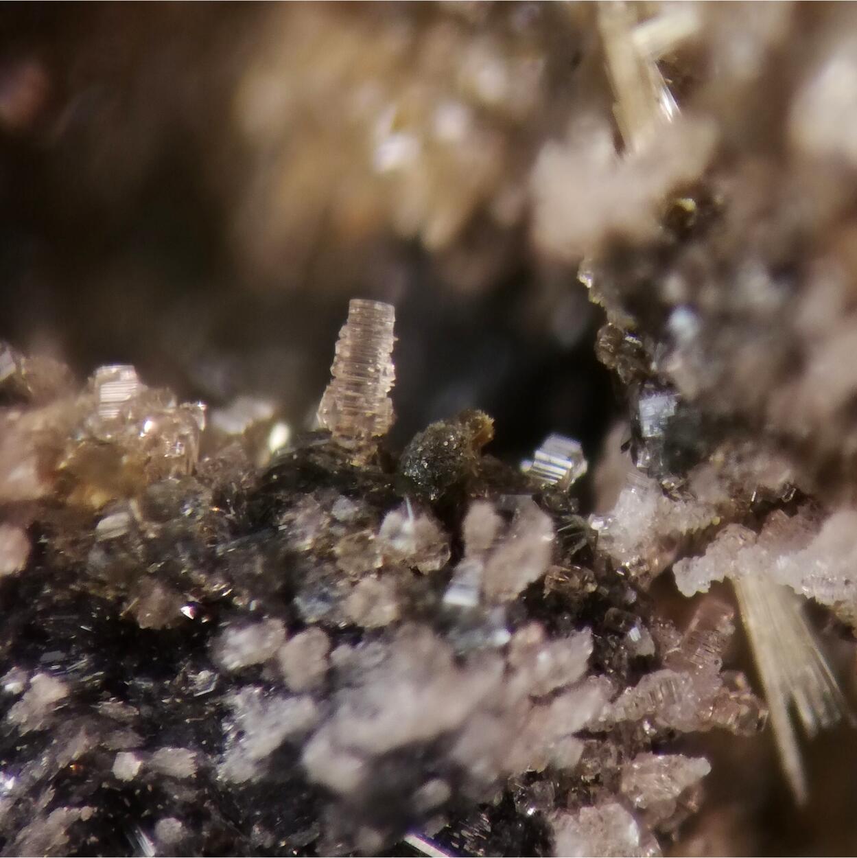 Strunzite Beraunite & Strengite