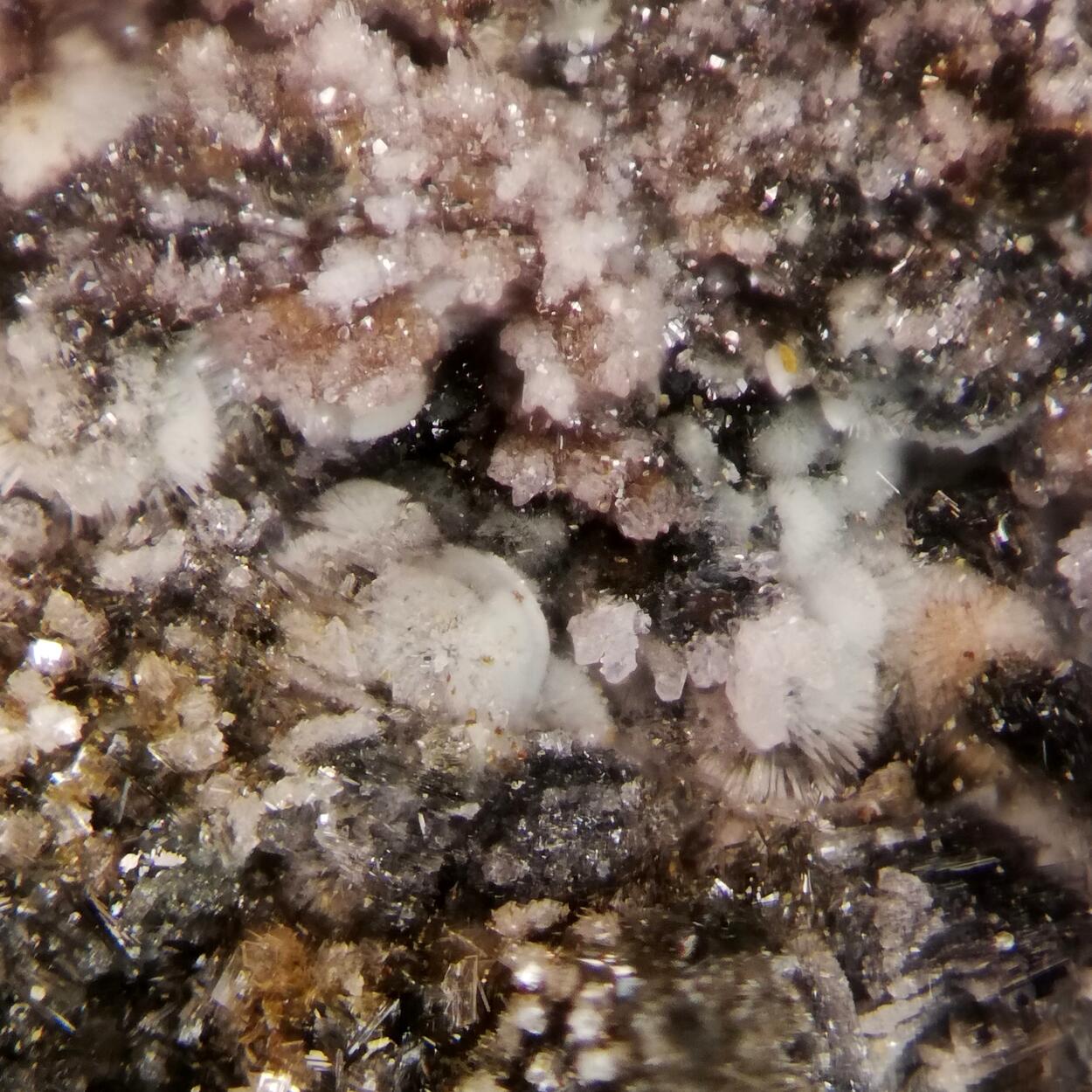 Strunzite Beraunite & Strengite