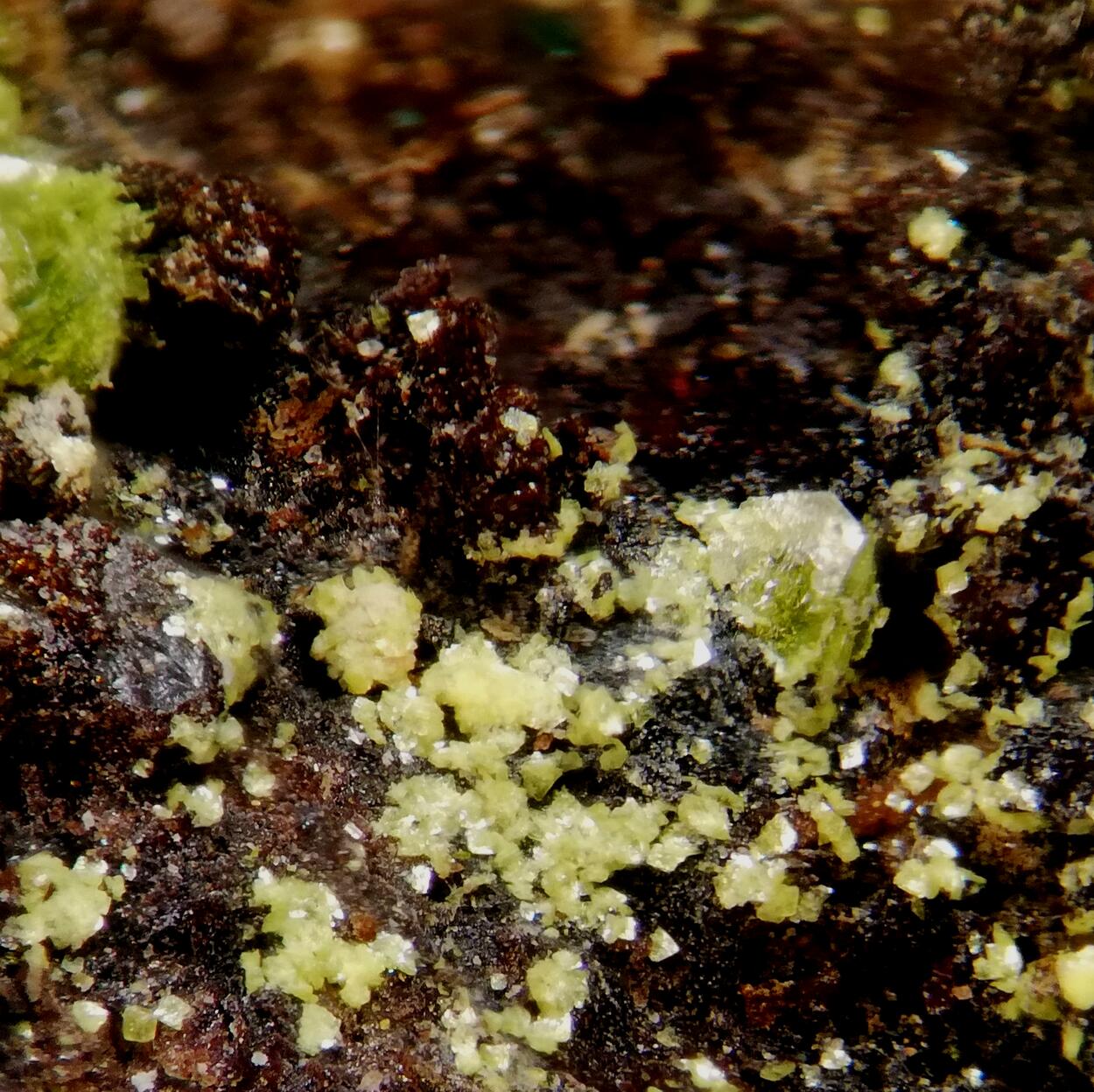 Volborthite & Carnotite