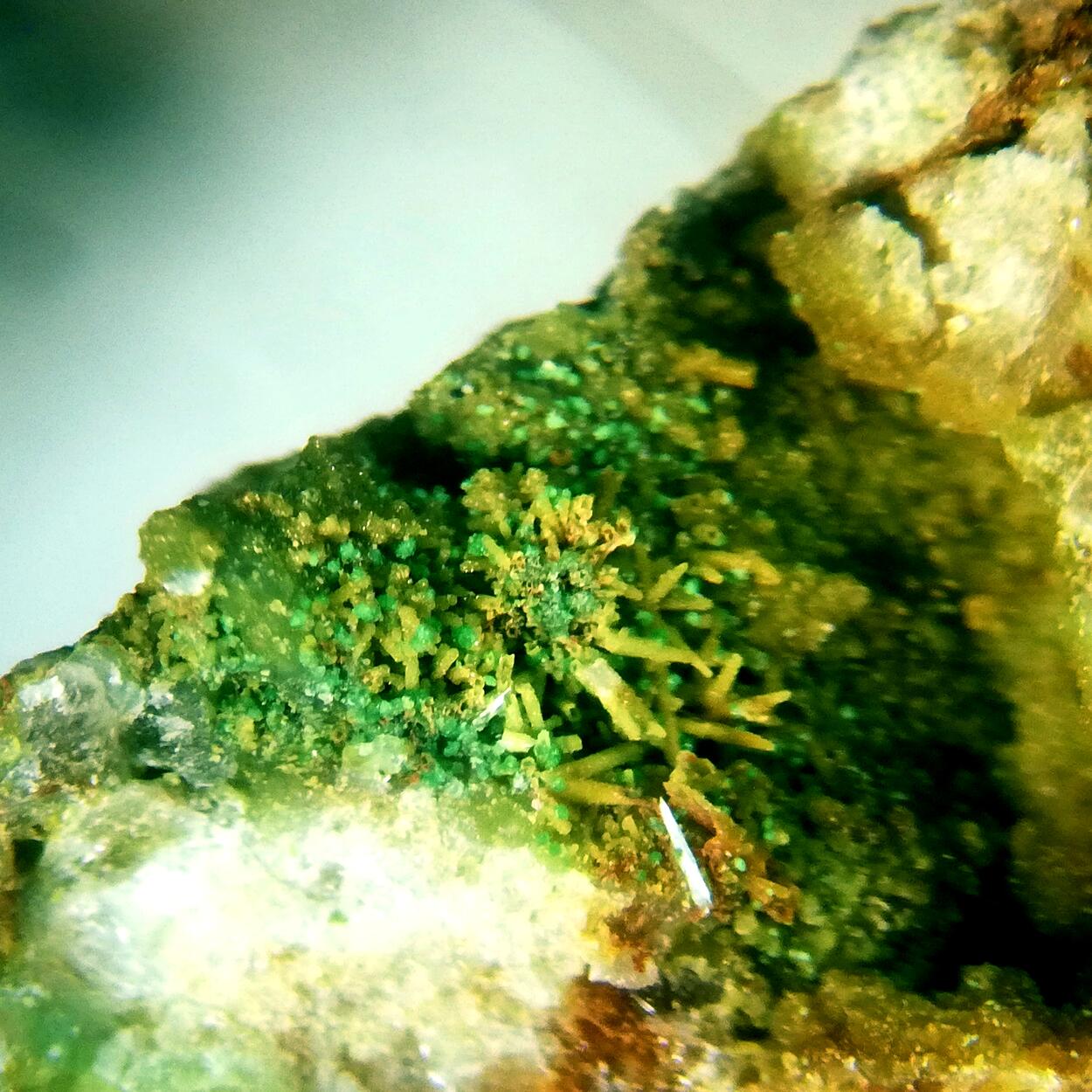 Bayldonite On Mimetite