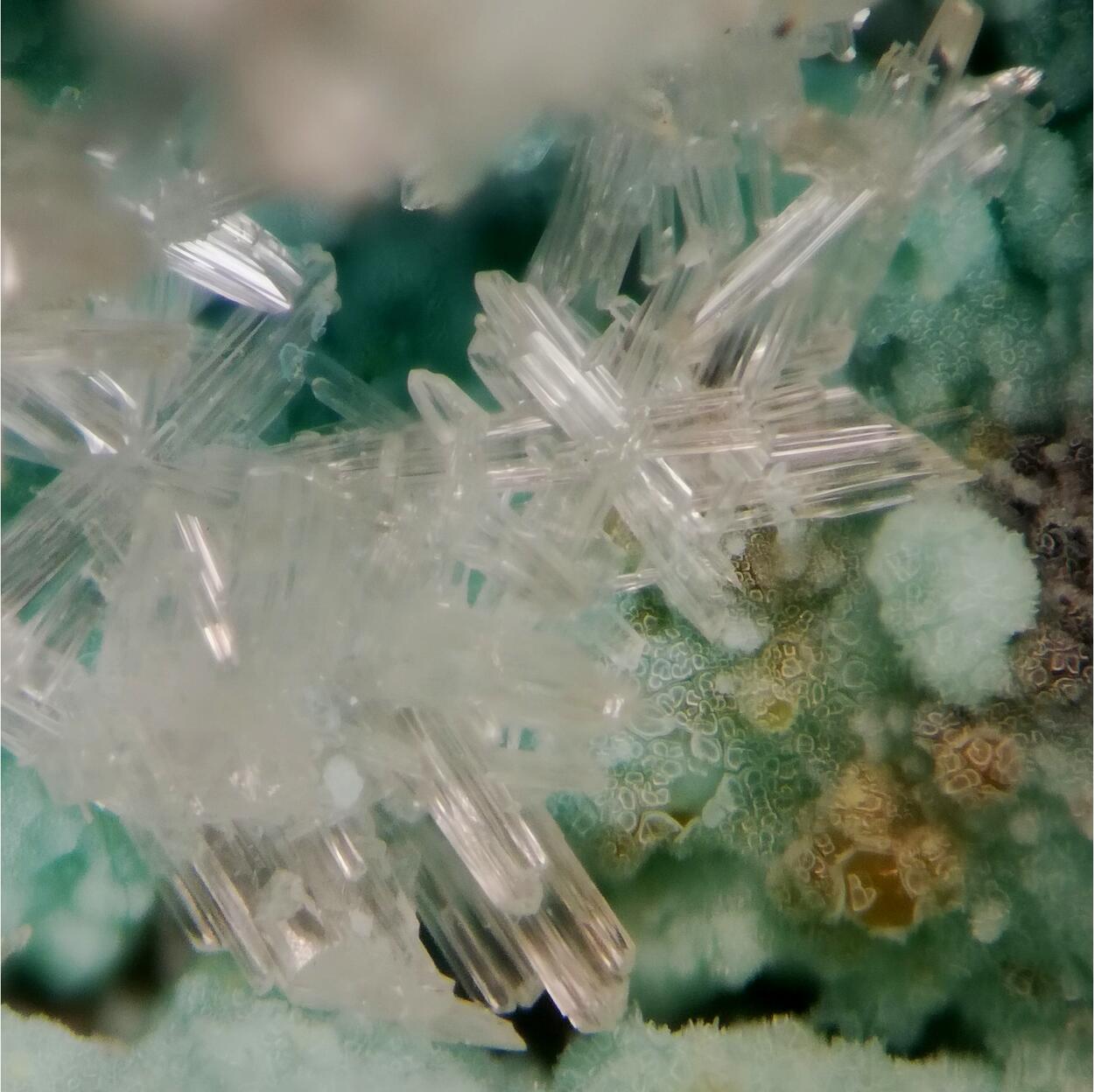 Cerussite On Chrysocolla