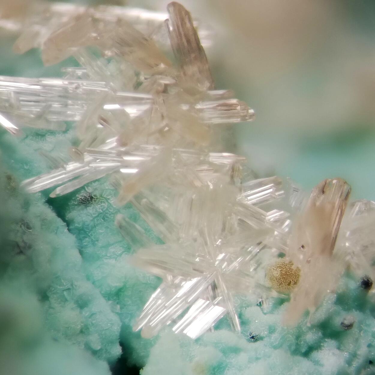 Cerussite On Chrysocolla