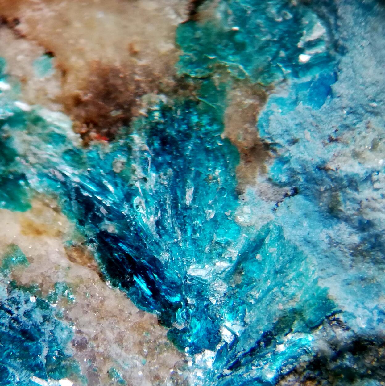 Claraite & Tyrolite