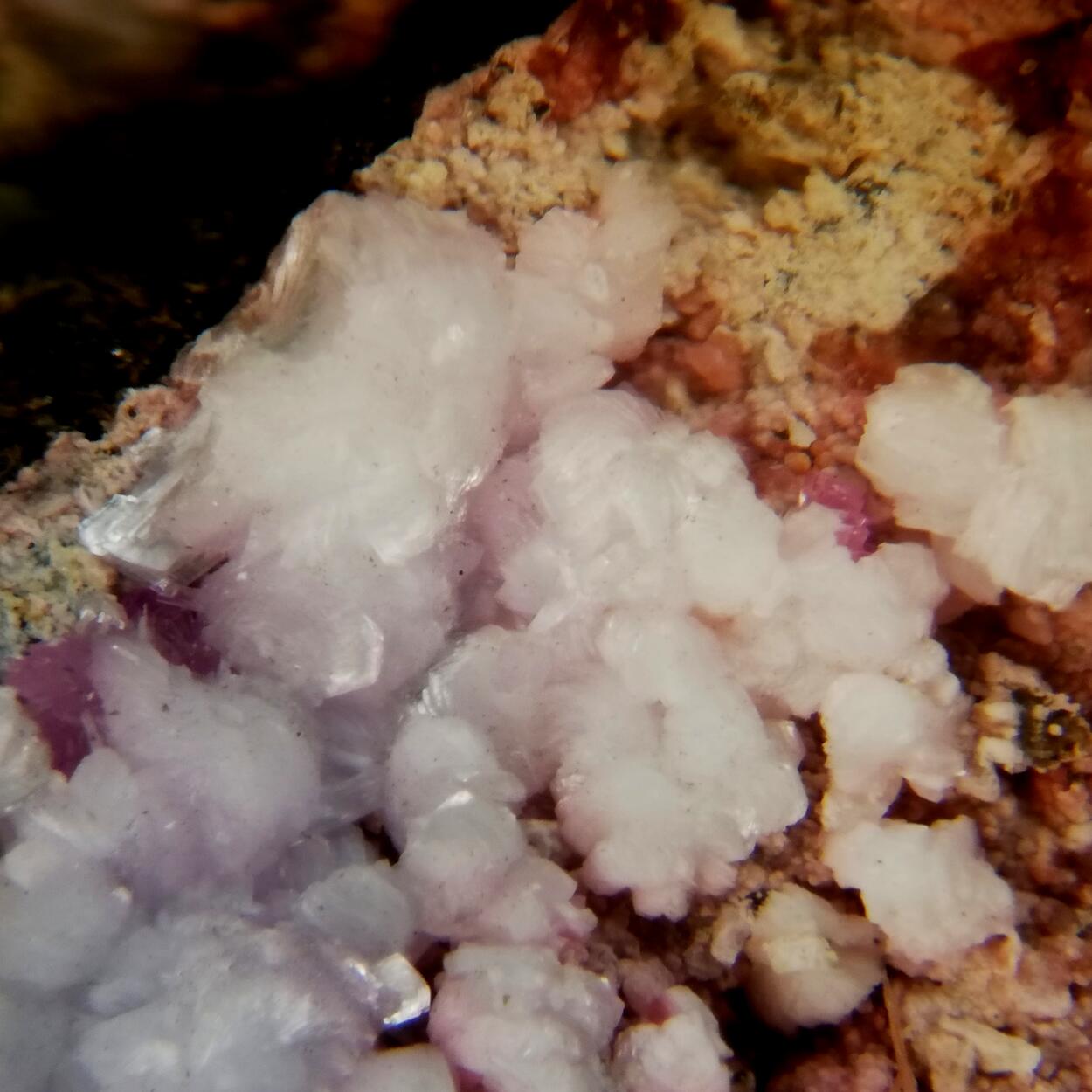 Guérinite Sainfeldite & Picropharmacolite