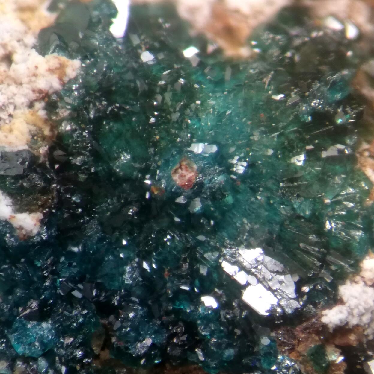 Herbertsmithite