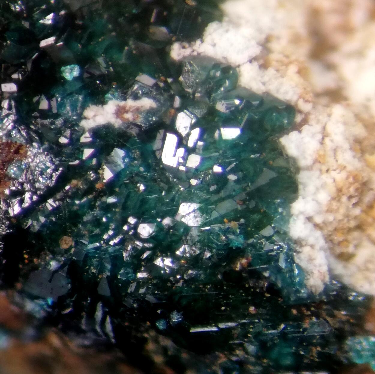 Herbertsmithite