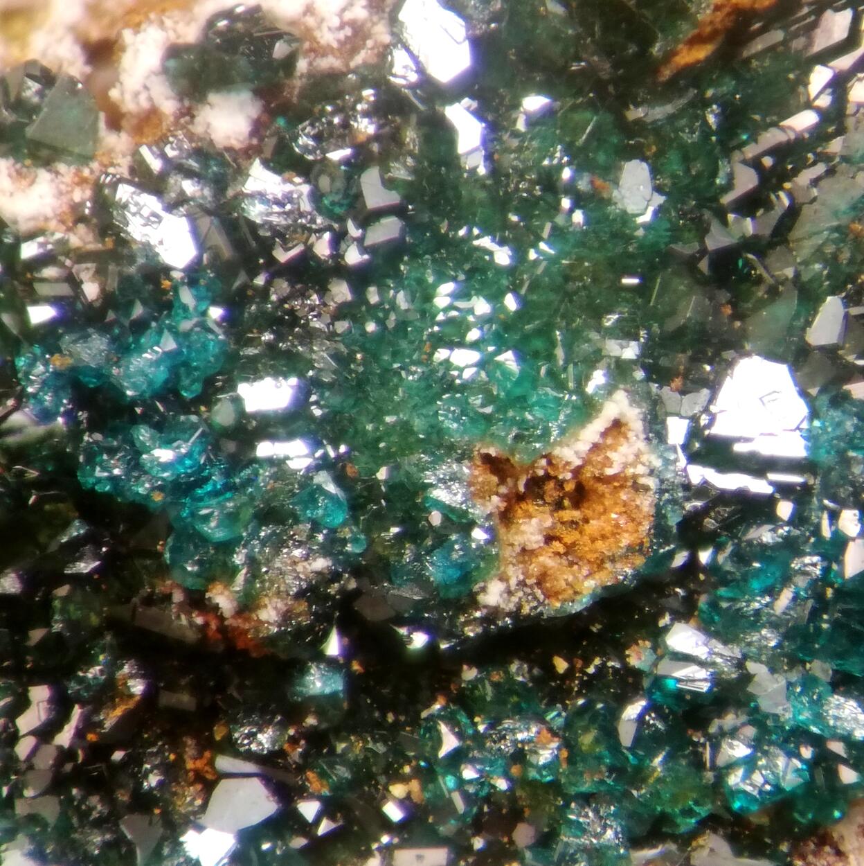 Herbertsmithite