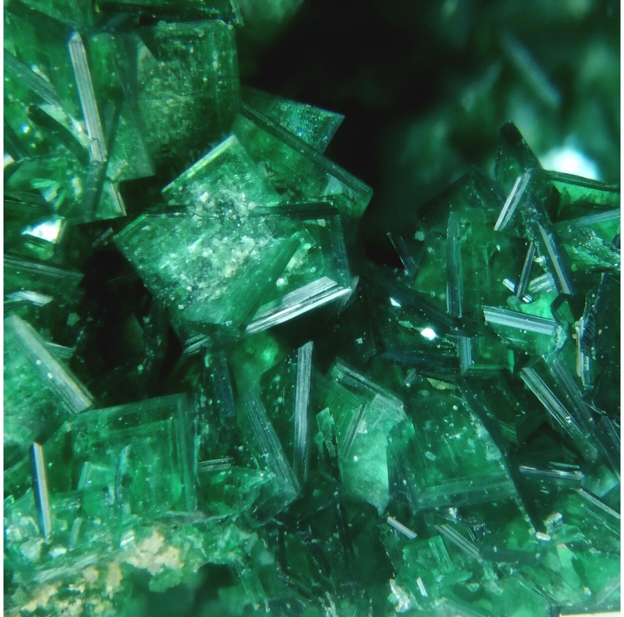 Torbernite