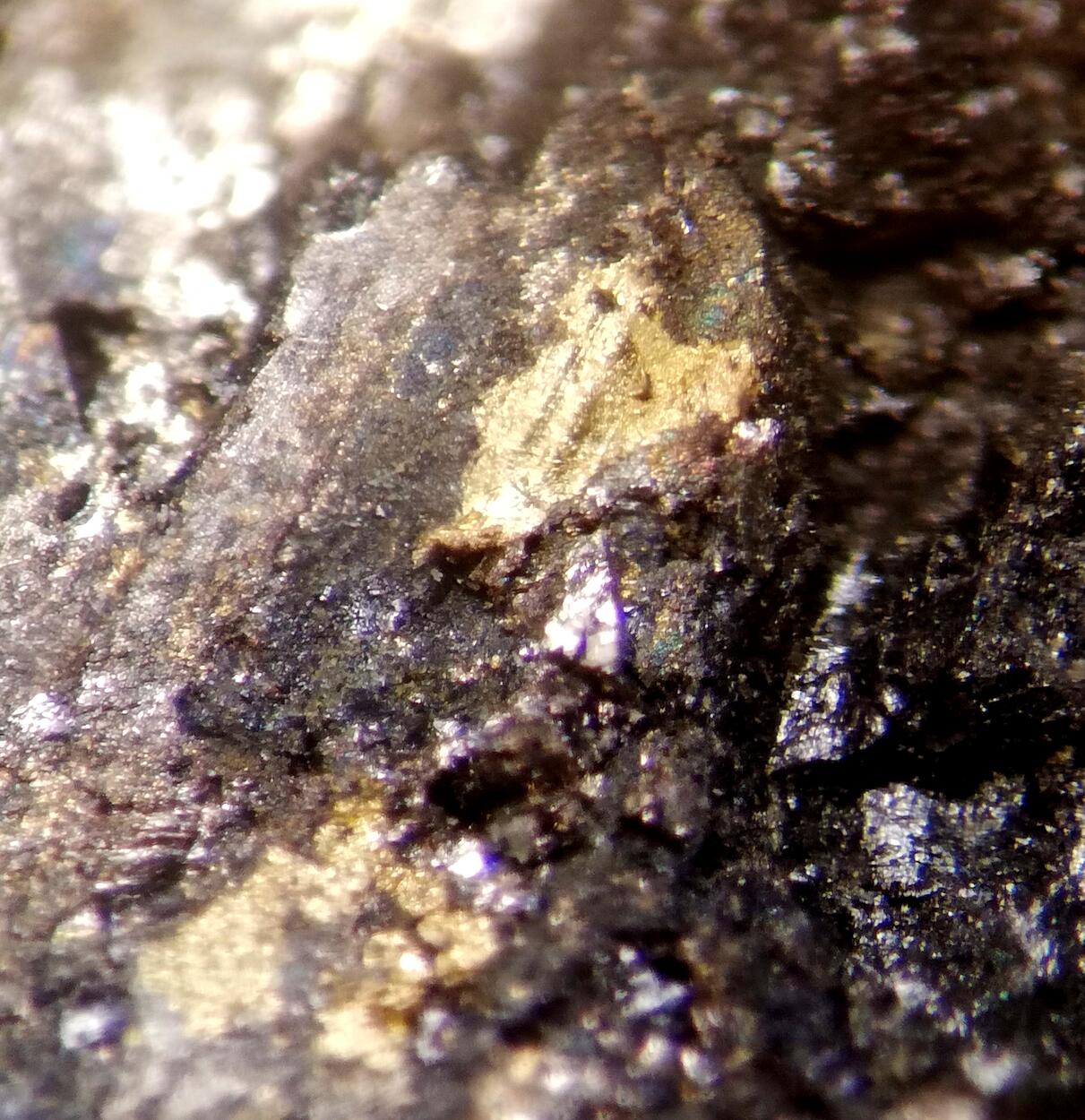 Native Gold In Uraninite