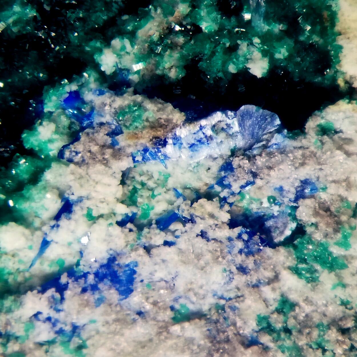 Munakataite Brochantite & Linarite