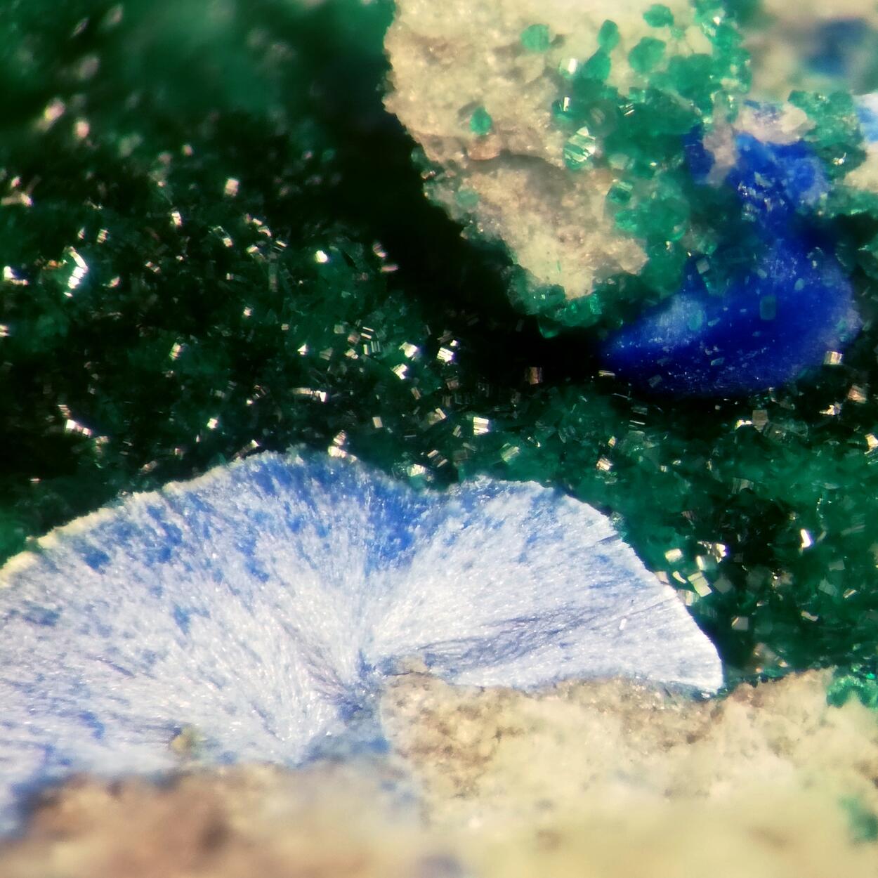 Munakataite Brochantite & Linarite