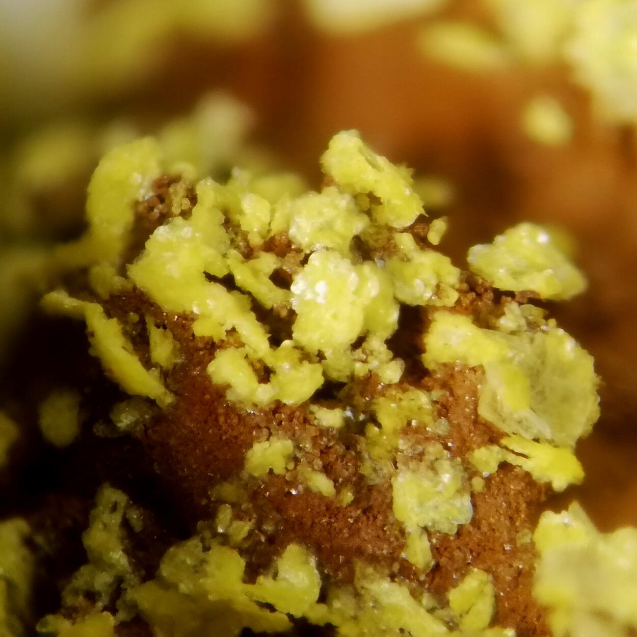 Yingjiangite On Saléeite & Saléeite