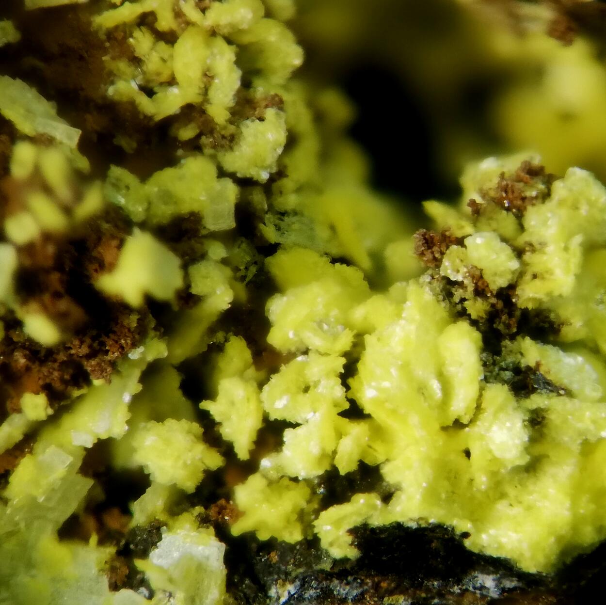 Yingjiangite On Saléeite & Saléeite