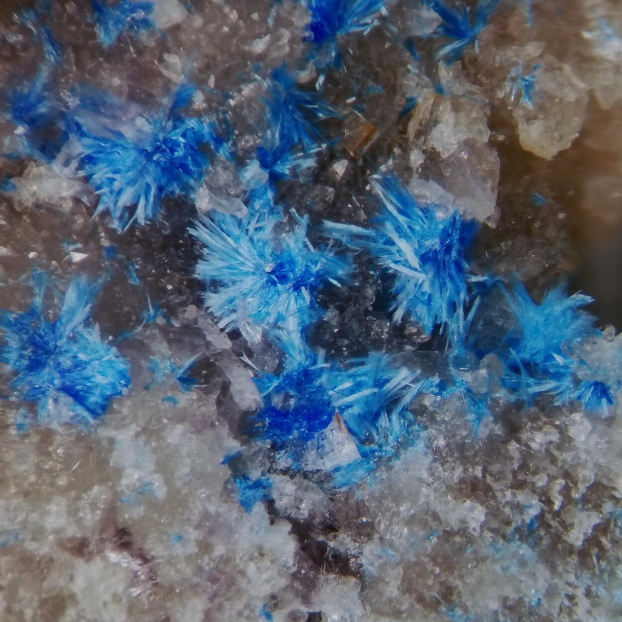 Cyanotrichite