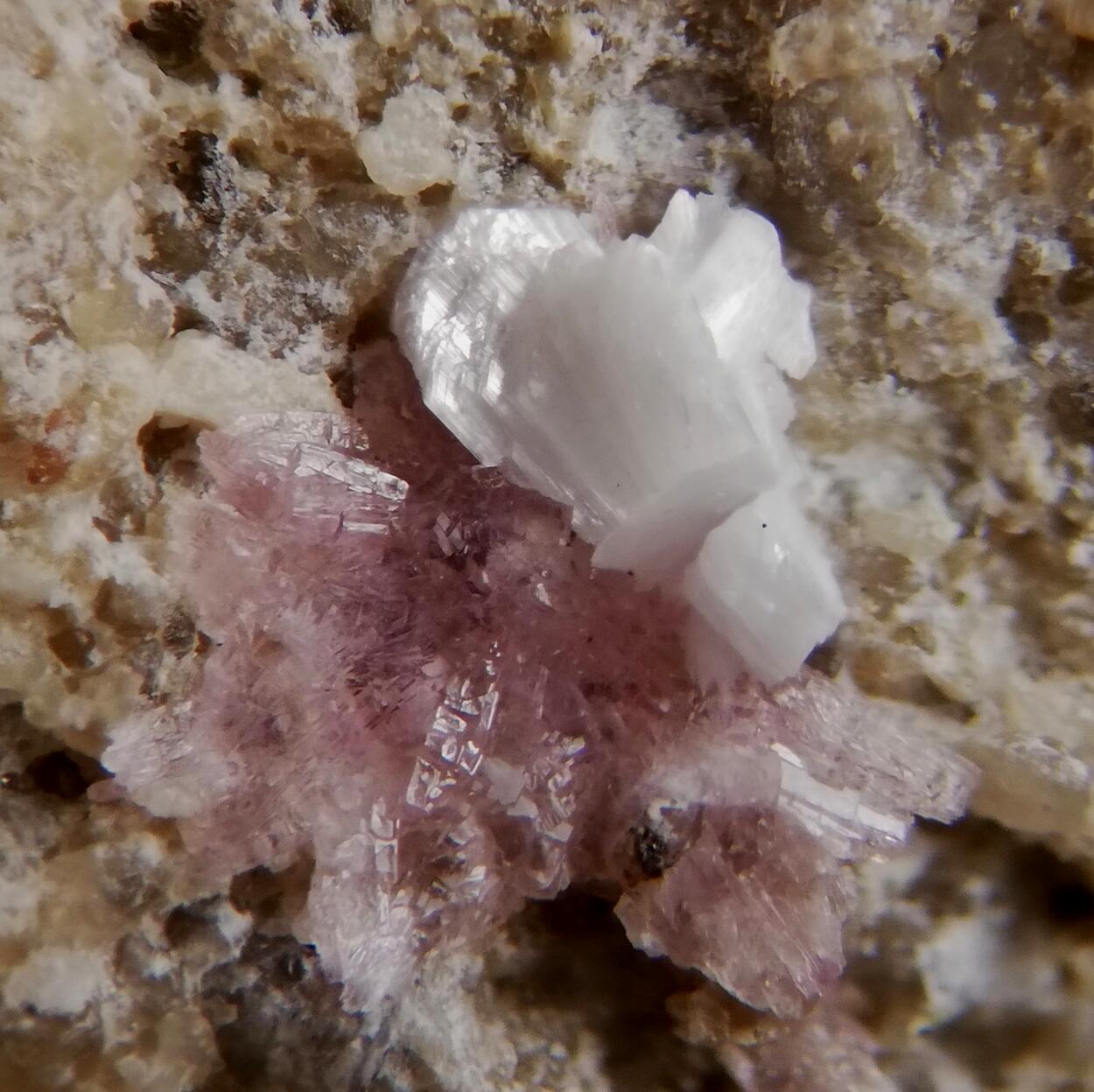 Sainfeldite & Guérinite