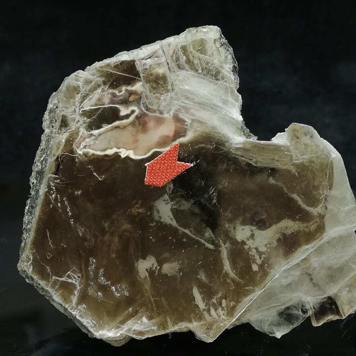 Boltwoodite In Biotite