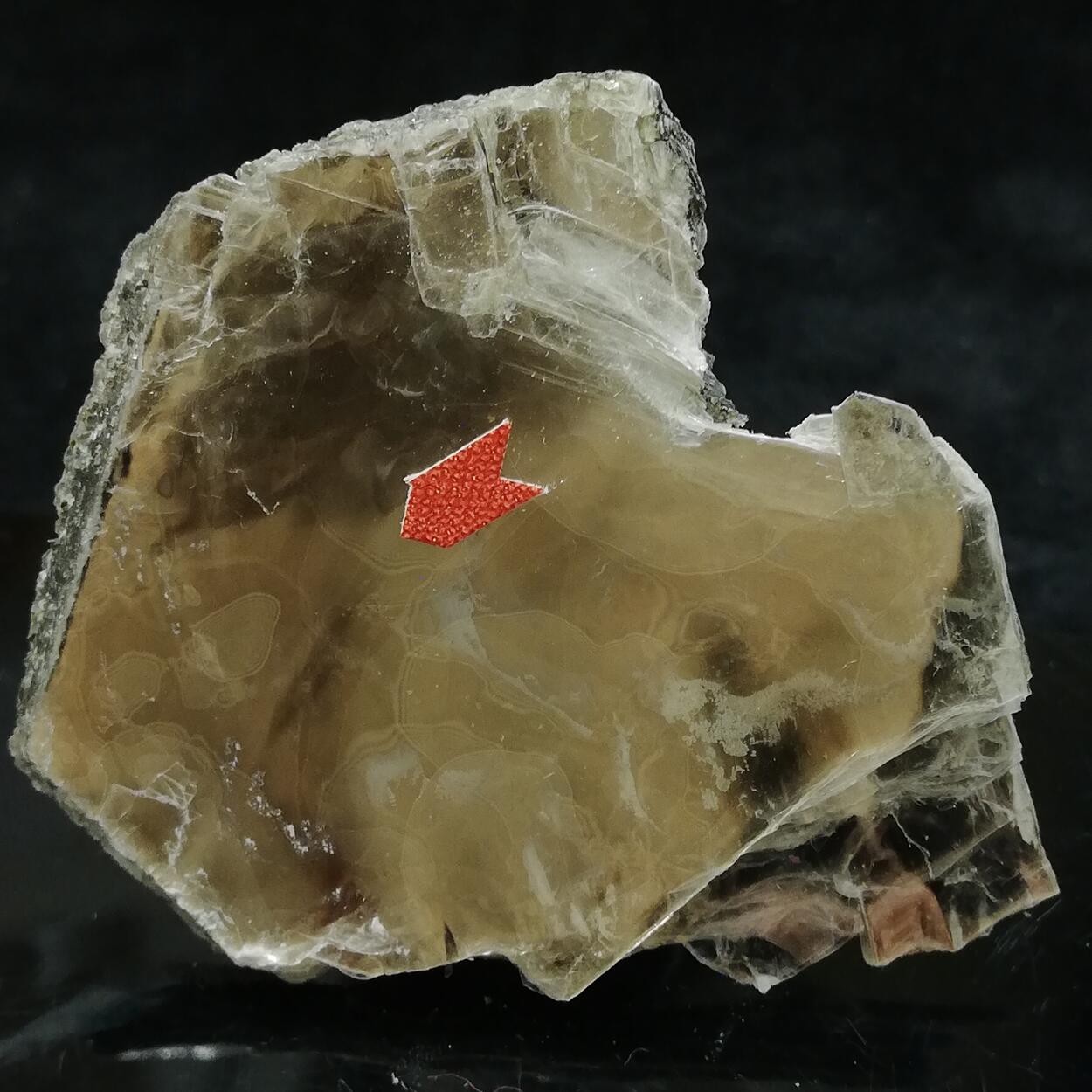 Boltwoodite In Biotite