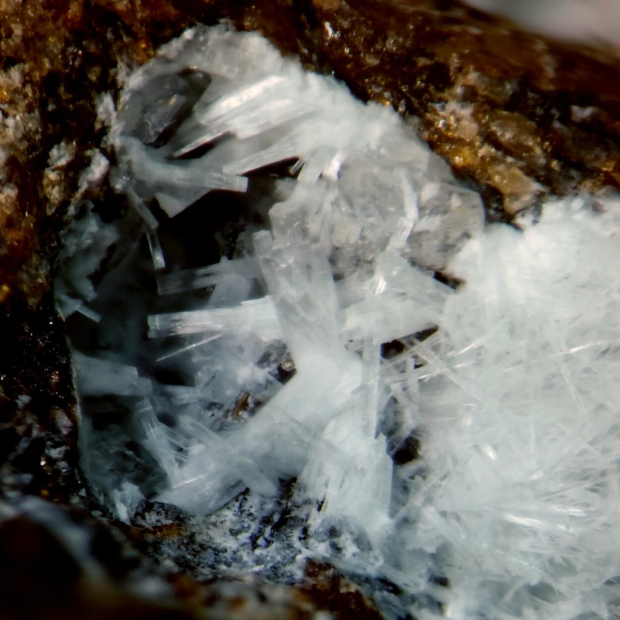 Willhendersonite & Thaumasite