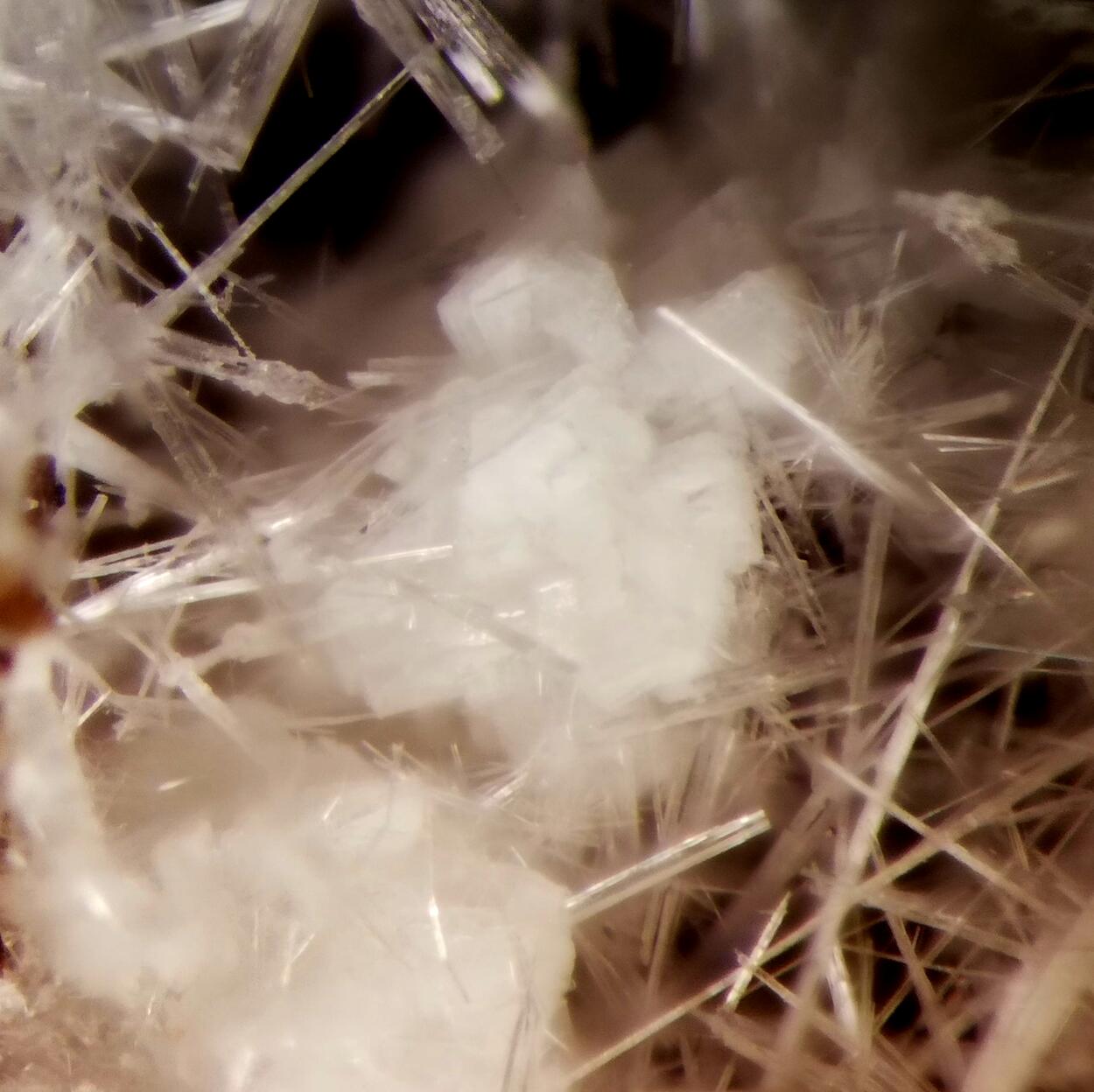 Willhendersonite & Thaumasite