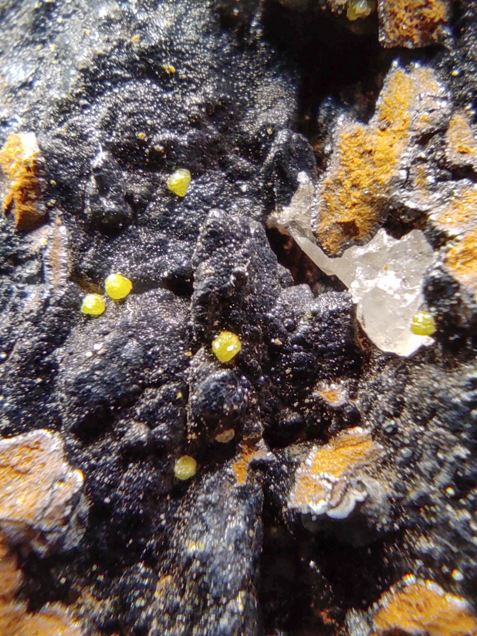 Cerussite Mimetite & Campylite On Limonite & Goethite