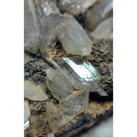 Gypsum & Siderite