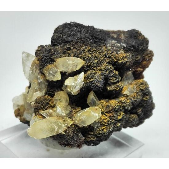 Gypsum & Siderite