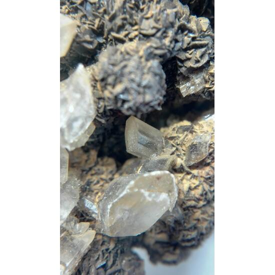 Gypsum & Siderite