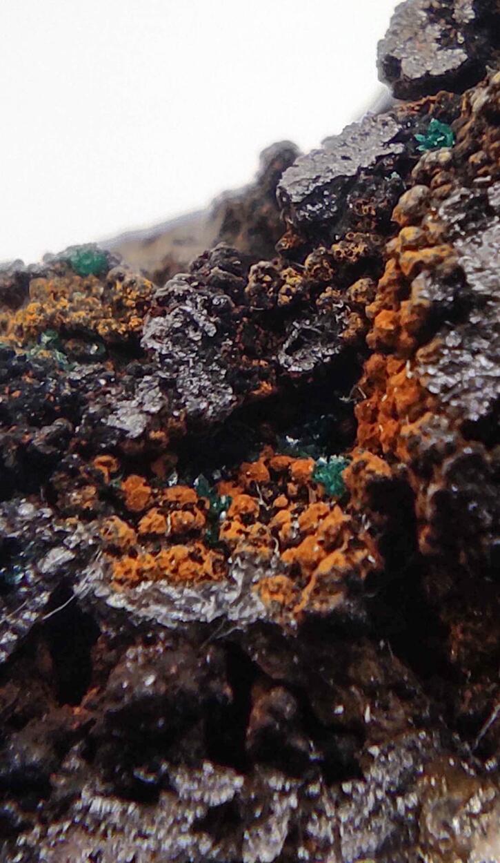 Reichenbachite & Pseudomalachite On Goethite