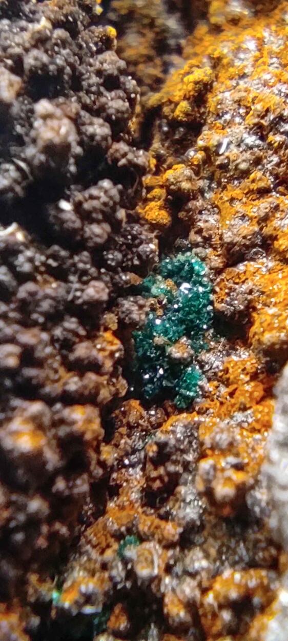 Reichenbachite & Pseudomalachite On Goethite