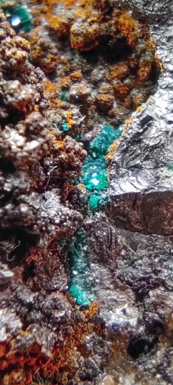 Reichenbachite & Pseudomalachite On Goethite