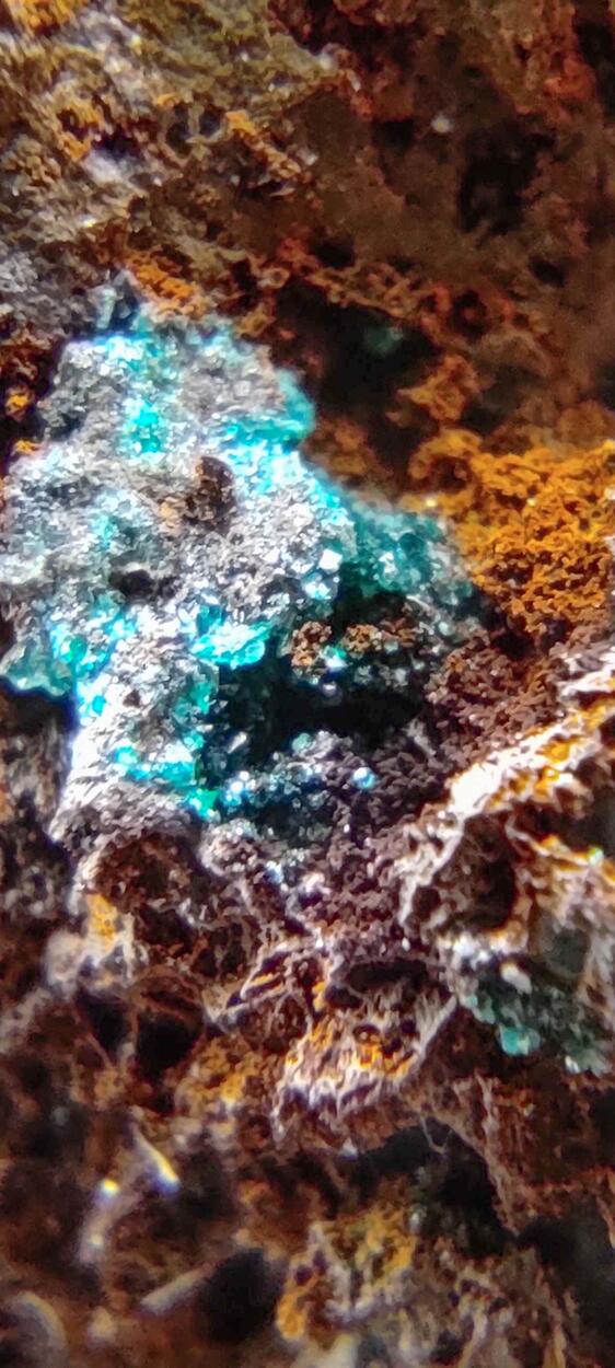 Reichenbachite & Pseudomalachite On Goethite