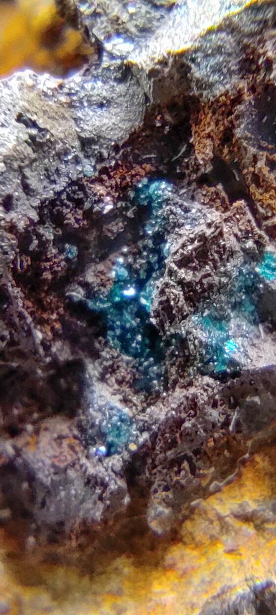 Reichenbachite & Pseudomalachite On Goethite