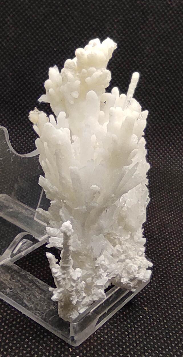 Aragonite