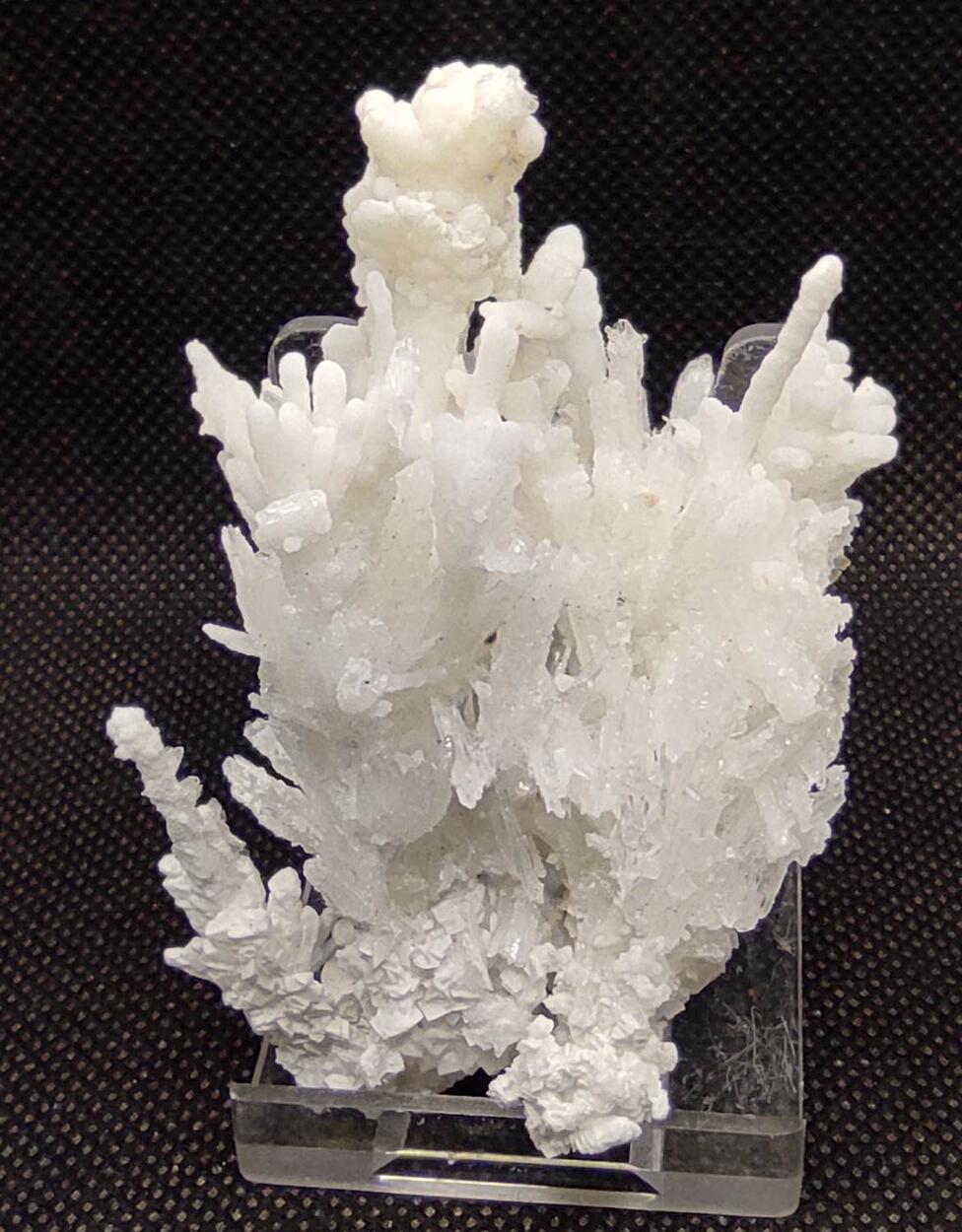 Aragonite