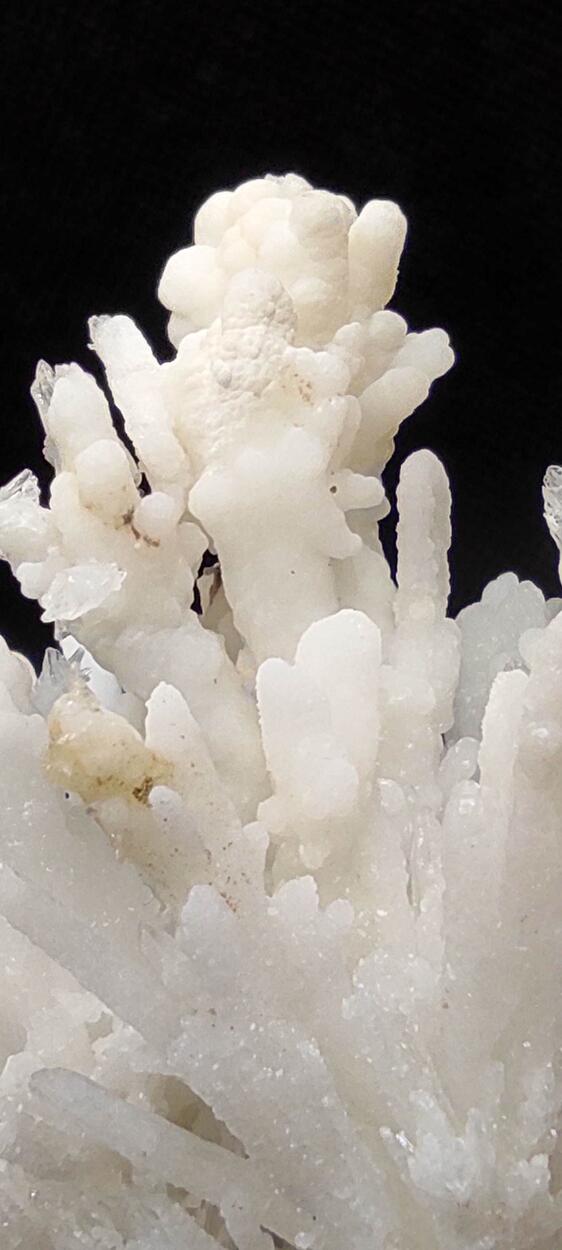 Aragonite