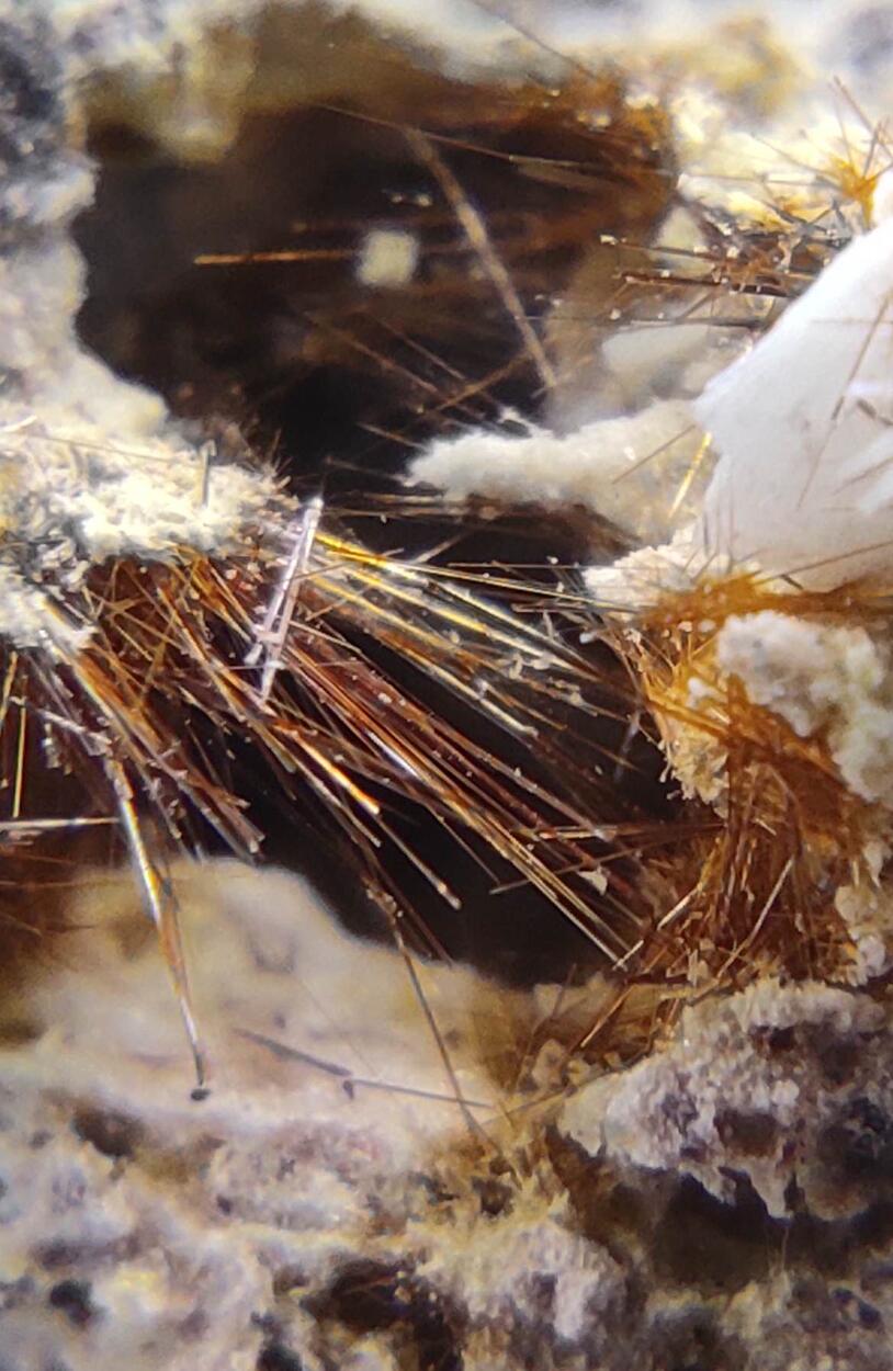 Yuanfuliite Calcite Hematite & Diopside