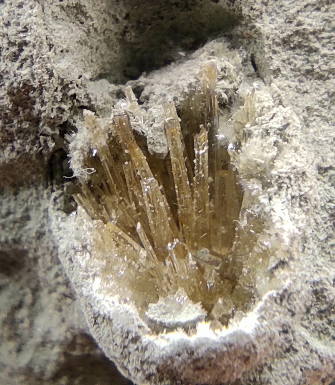 Aragonite