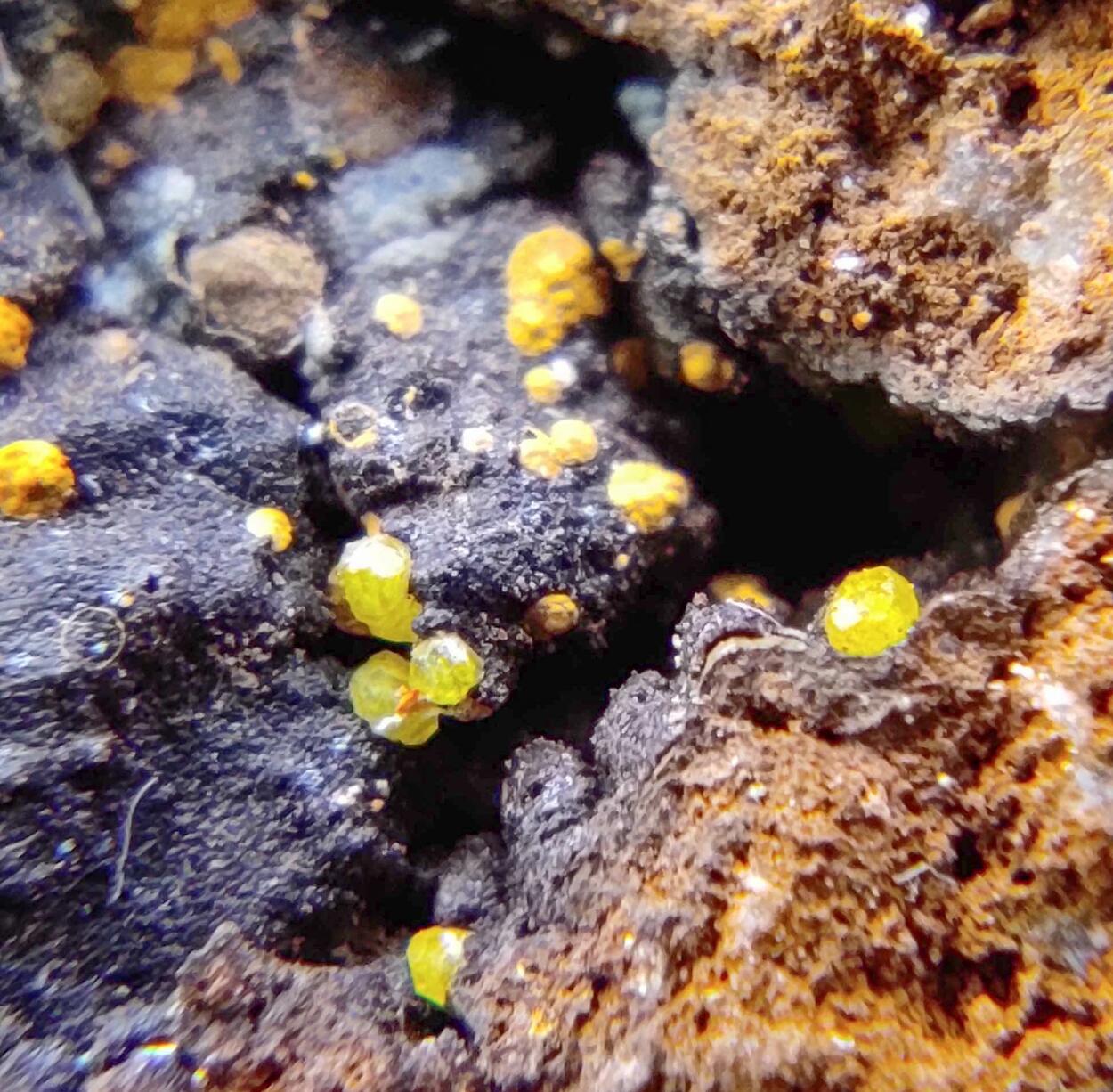 Campylite & Mimetite