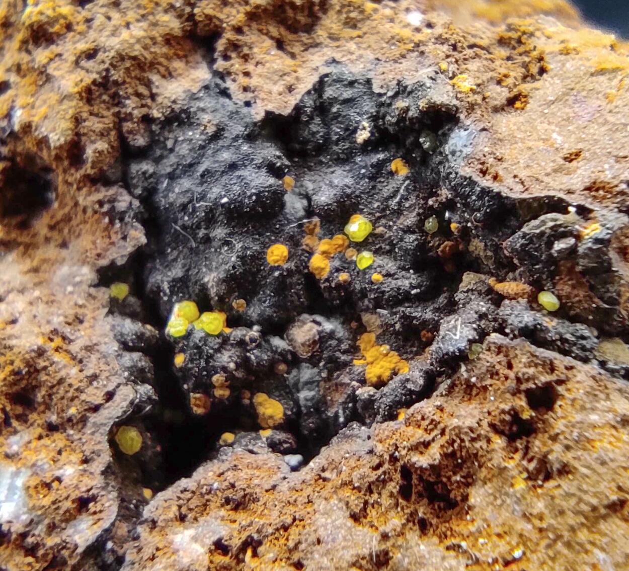 Campylite & Mimetite