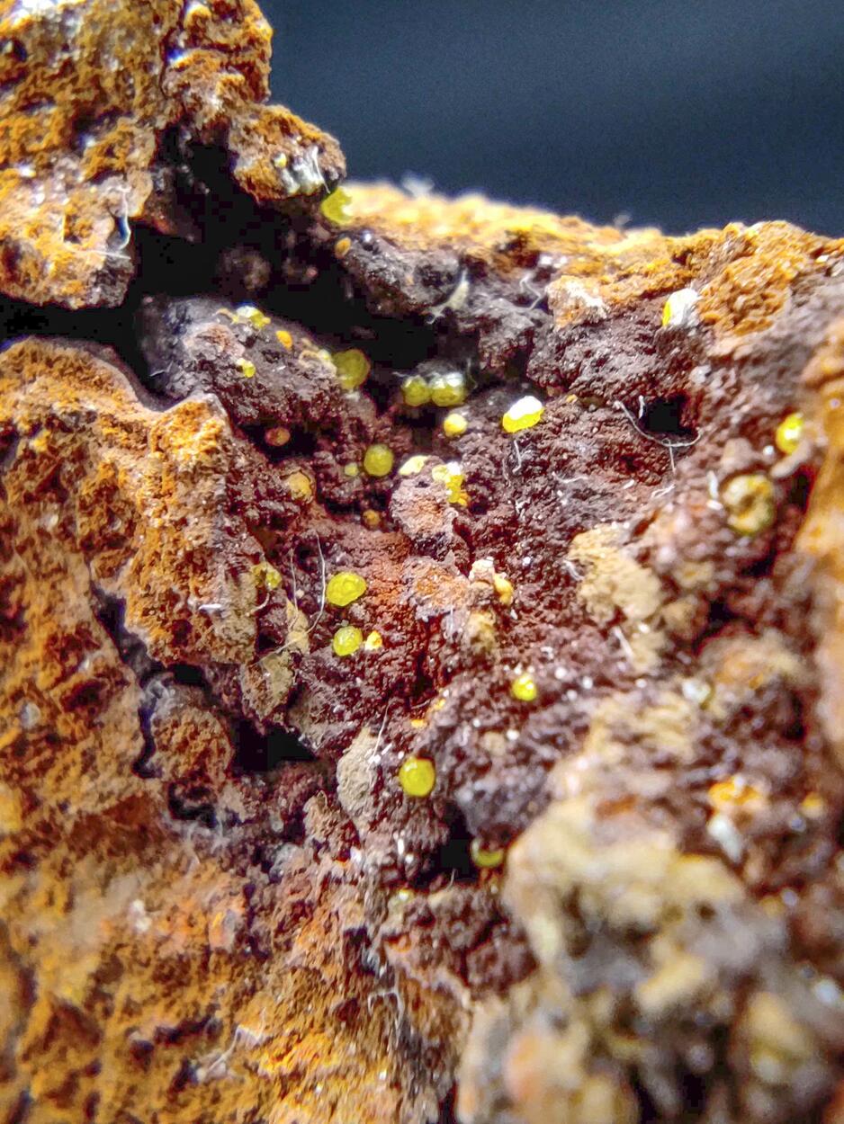 Campylite & Mimetite