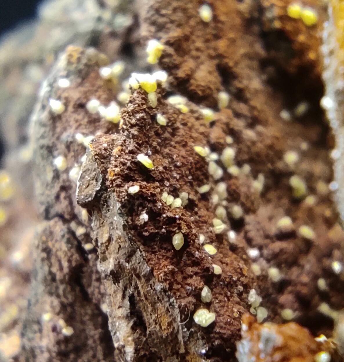 Campylite & Mimetite