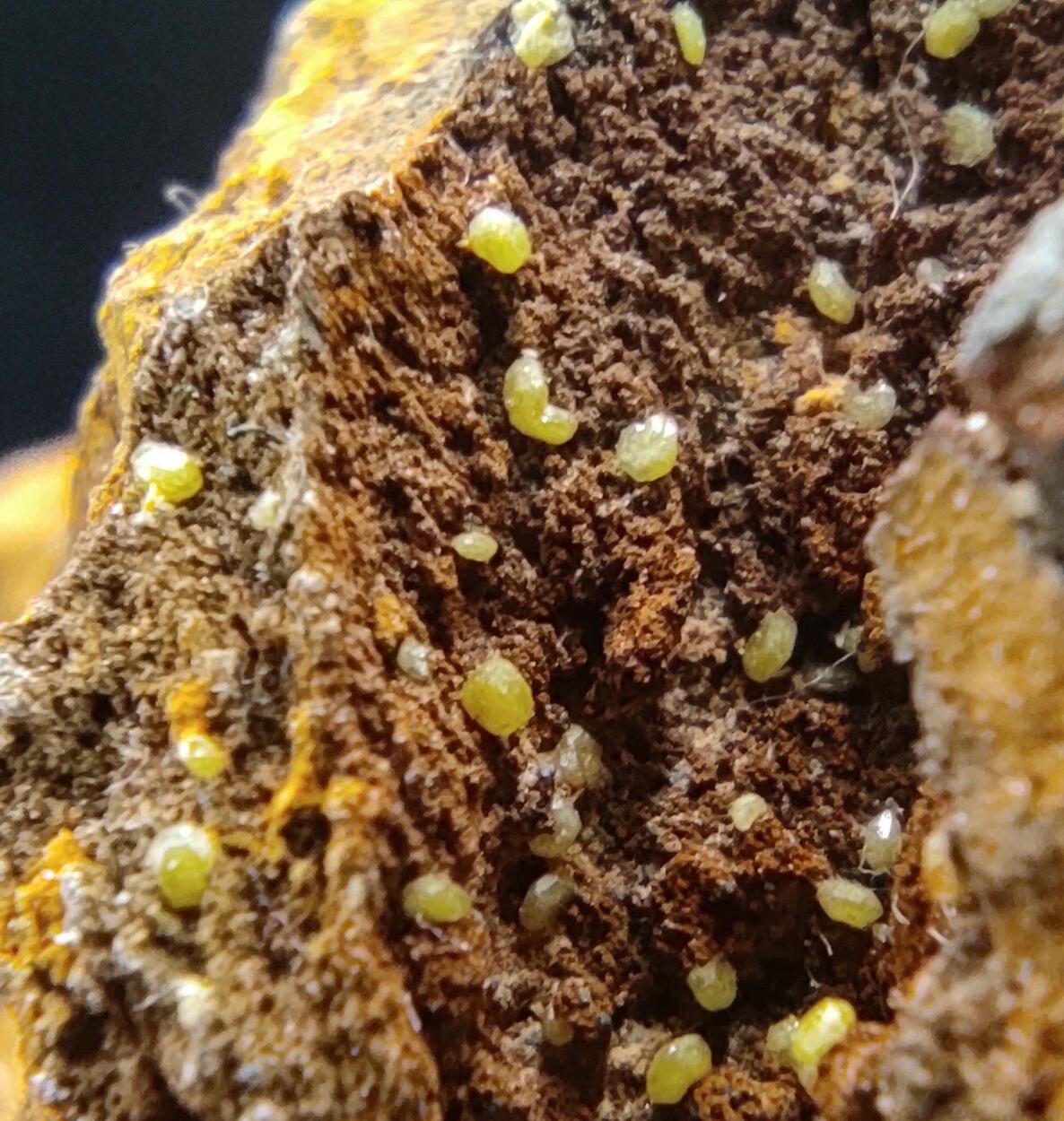 Campylite & Mimetite