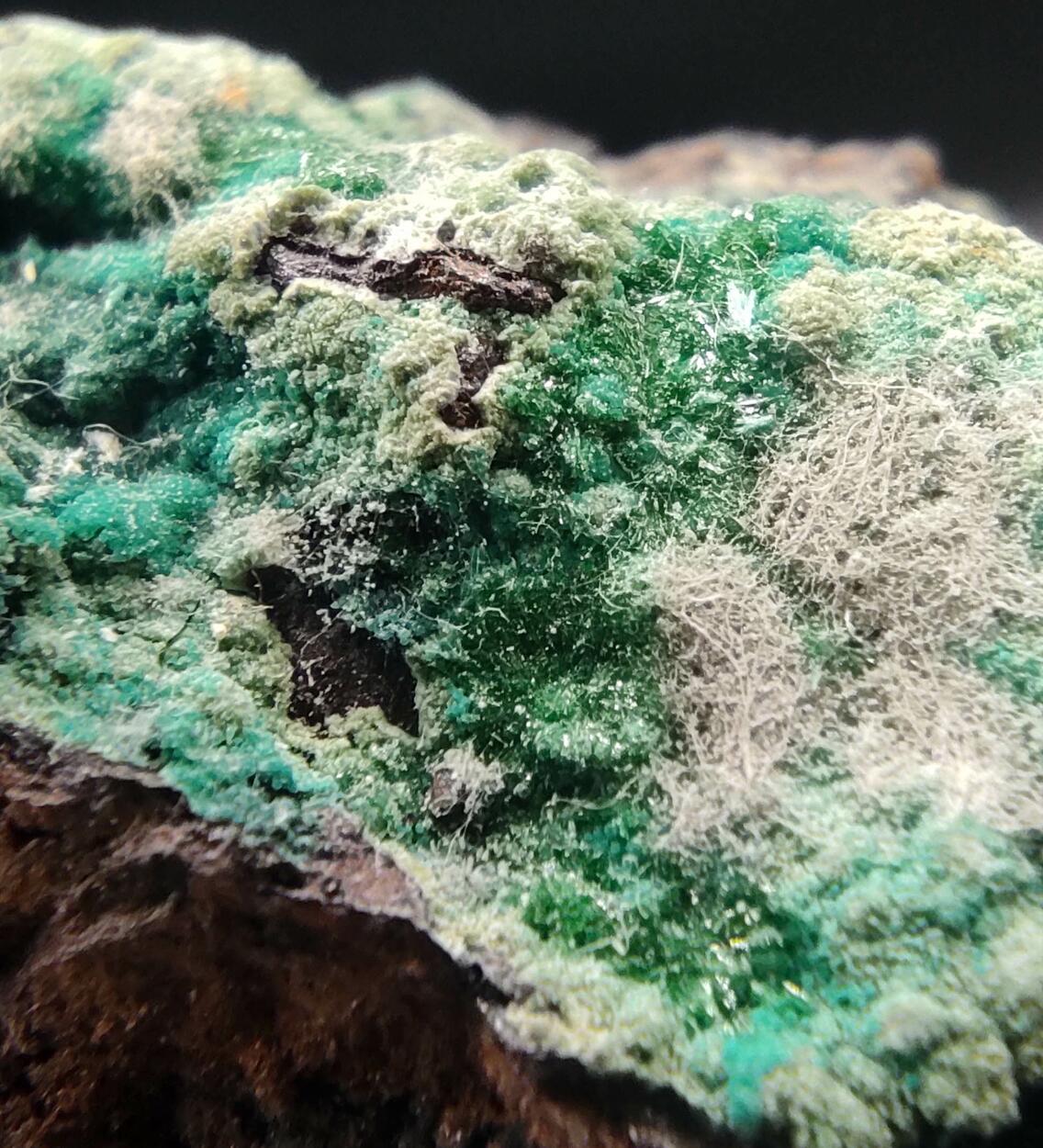 Chrysocolla & Brochantite