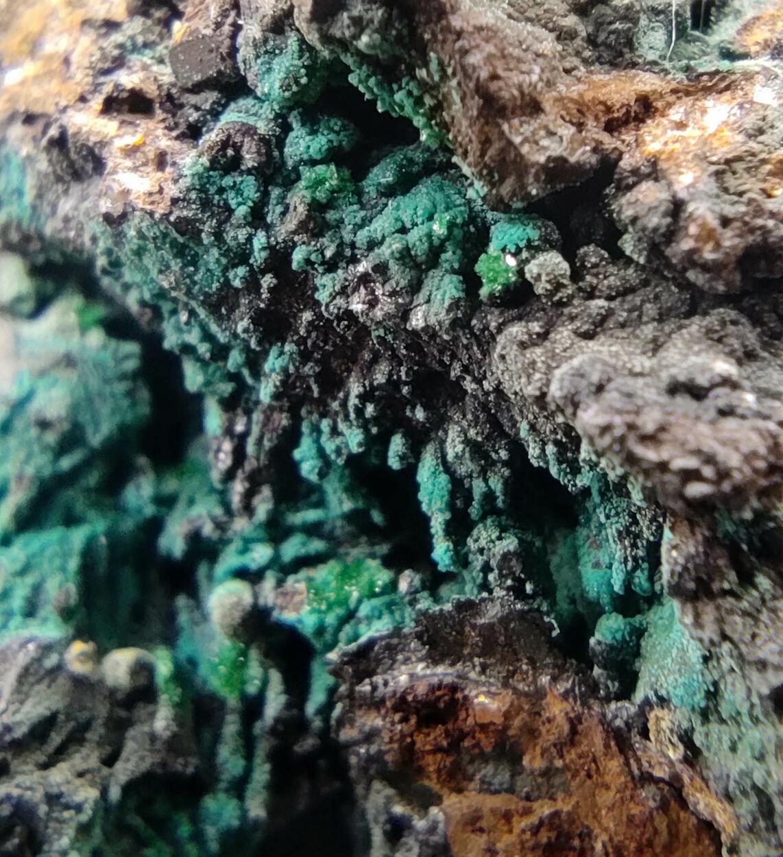 Chrysocolla & Brochantite